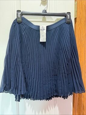 Hollister Navy Pleated Skater Skirt